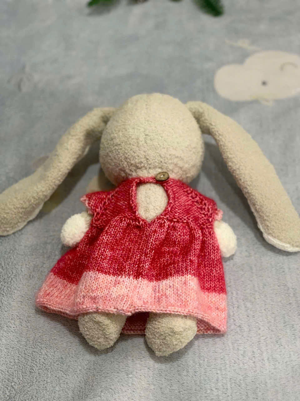 Đan Len_Thỏ trắng - Hình ảnh 6